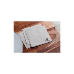 SERVILLETA MICROPUNTO ECONATURE 20*20 100S 24P