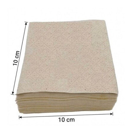 SERVILLETA 20×20 ECONATURE CENEFA 100S 60P